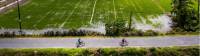 Cycling through beautiful rice fields along the Mekong Delta |  <i>Lachlan Gardiner</i>