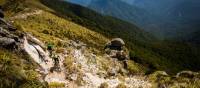 Mountain biking along the Old Ghost Road | Sven Martin