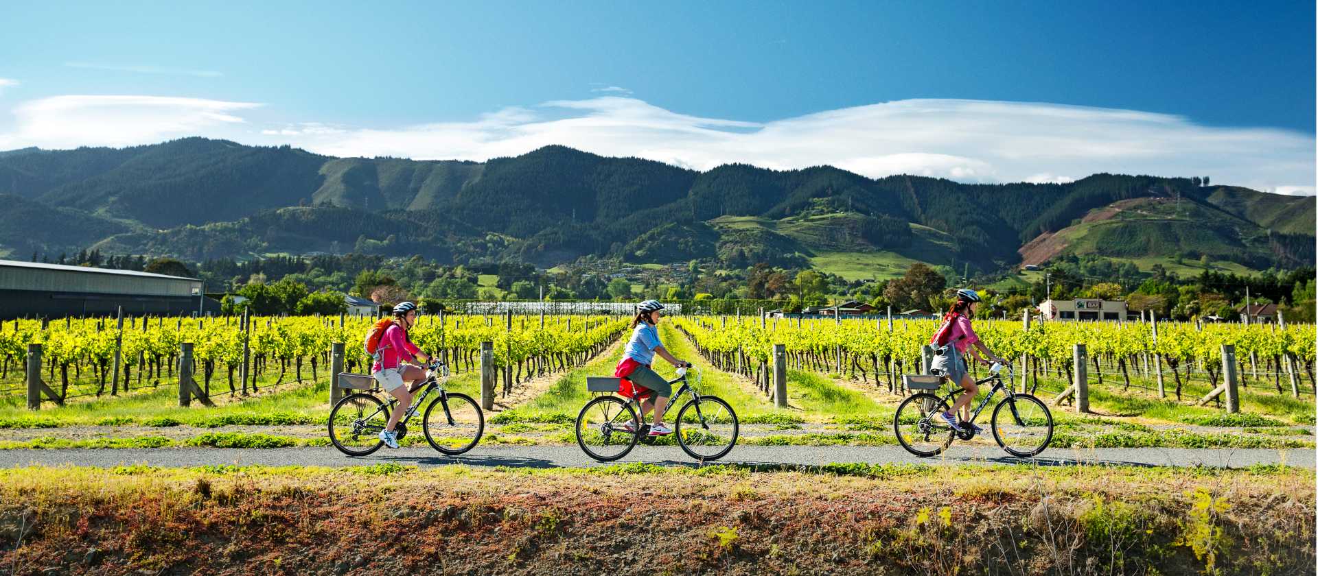 Cycling along the Nelson Great Taste Trail | Dean McKenzie
