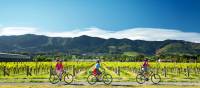 Cycling along the Nelson Great Taste Trail | Dean McKenzie