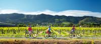 Cycling along the Nelson Great Taste Trail | Dean McKenzie