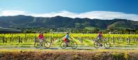 Cycling along the Nelson Great Taste Trail |  <i>Dean McKenzie</i>