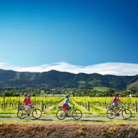 Cycling along the Nelson Great Taste Trail | Dean McKenzie