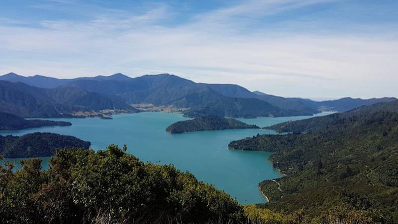 Enjoy wonderful views of Marlborough Sound from the Queen Charlotte Track |  <i>Ross Daubney</i>