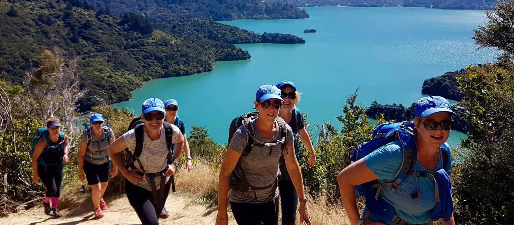 Trekking above Marlborough Sounds | Ross Daubney