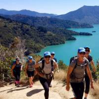 Trekking above Marlborough Sounds | Ross Daubney