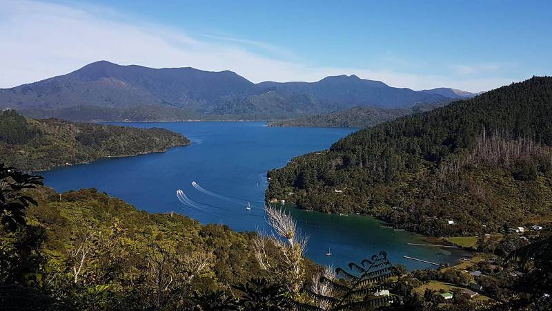 Hiking above Marlborough Sound provides amazing views of the beauty below |  <i>Ross Daubney</i>