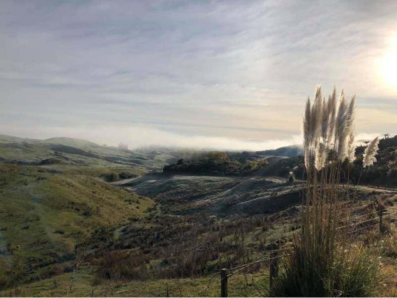 Waikato backroads |  <i>Brett Leyden</i>