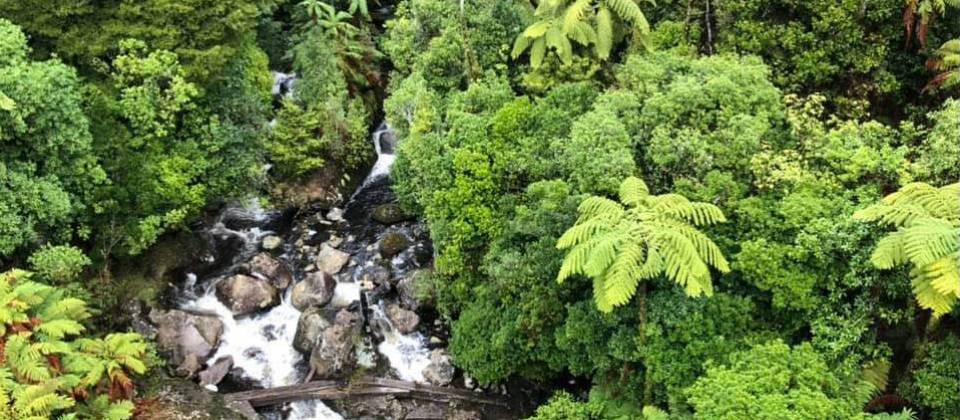 Timber trail | Brett Leyden