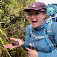 A picture of Adventure South Guide Nicole Davenport holding a giant Powelliphanta snail | Friend of Nicole Davenport