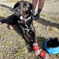 Adventure South Staff - Nala | Josie Dixon