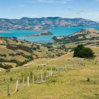 Views from the Summit Road looking towards Akaroa Harbour | Douglas McKay