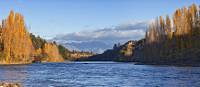 Autumn Colours around Clutha River |  <i>Peter Walton</i>