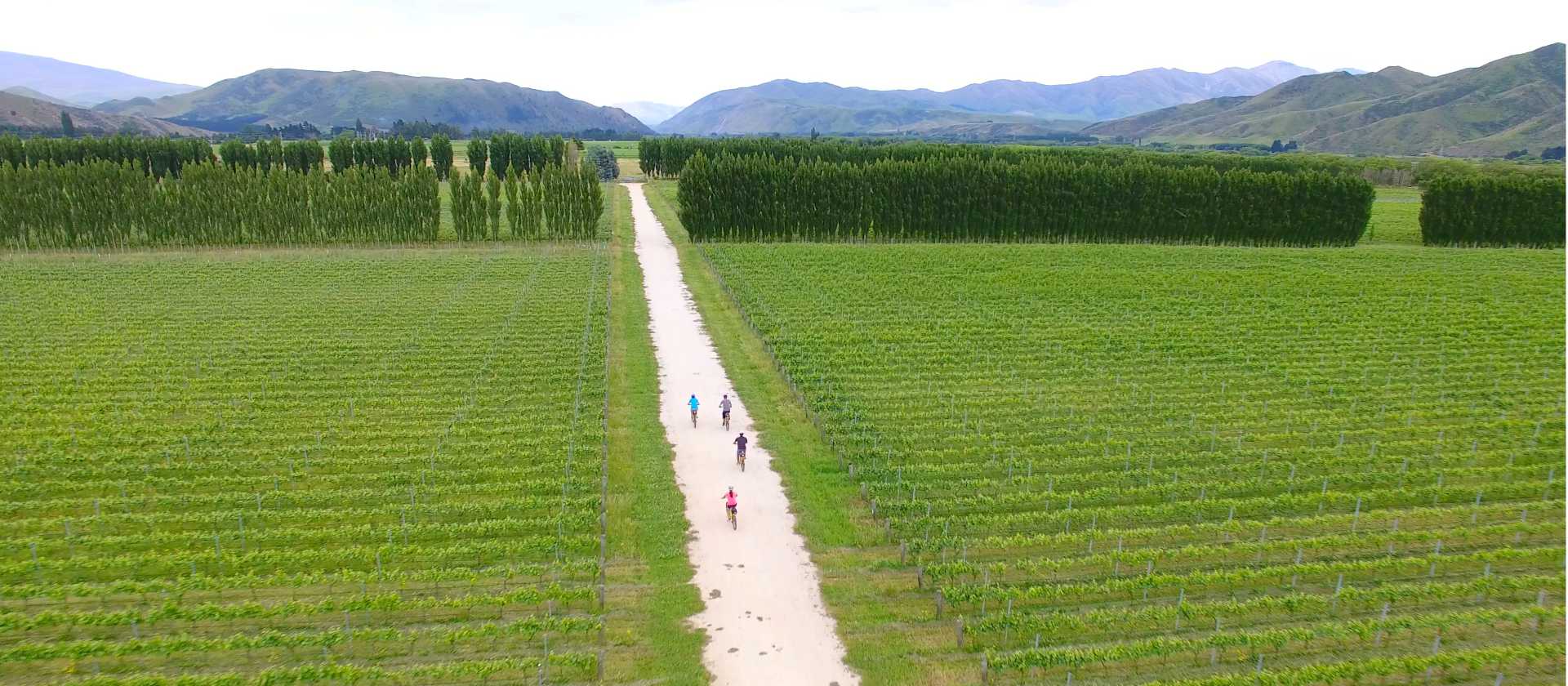 Cycling through Pasquale Kurow Winery | Daniel Thour
