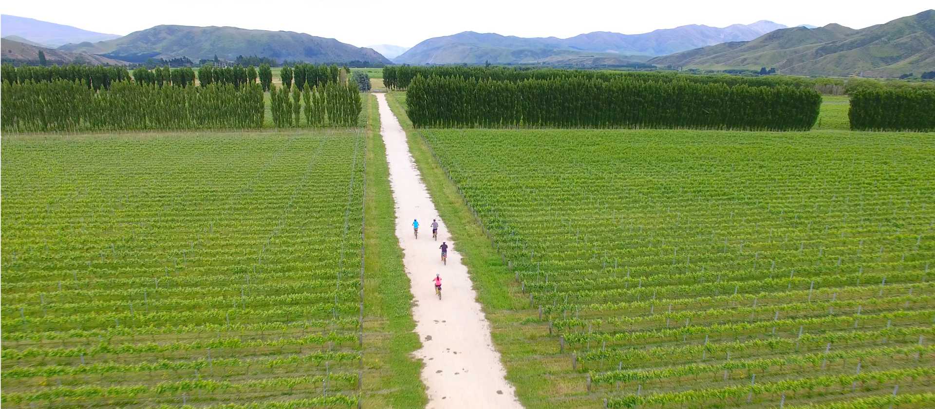 Cycling through Pasquale Kurow Winery | Daniel Thour