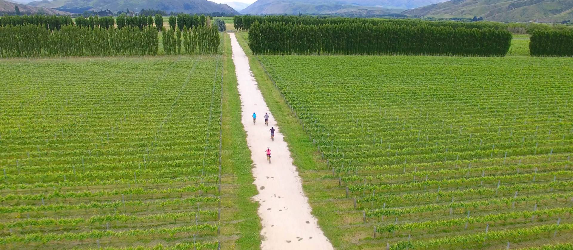 Cycling through Pasquale Kurow Winery | Daniel Thour