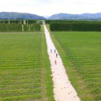 Cycling through Pasquale Kurow Winery | Daniel Thour