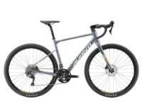 Avanti Gravel Bike