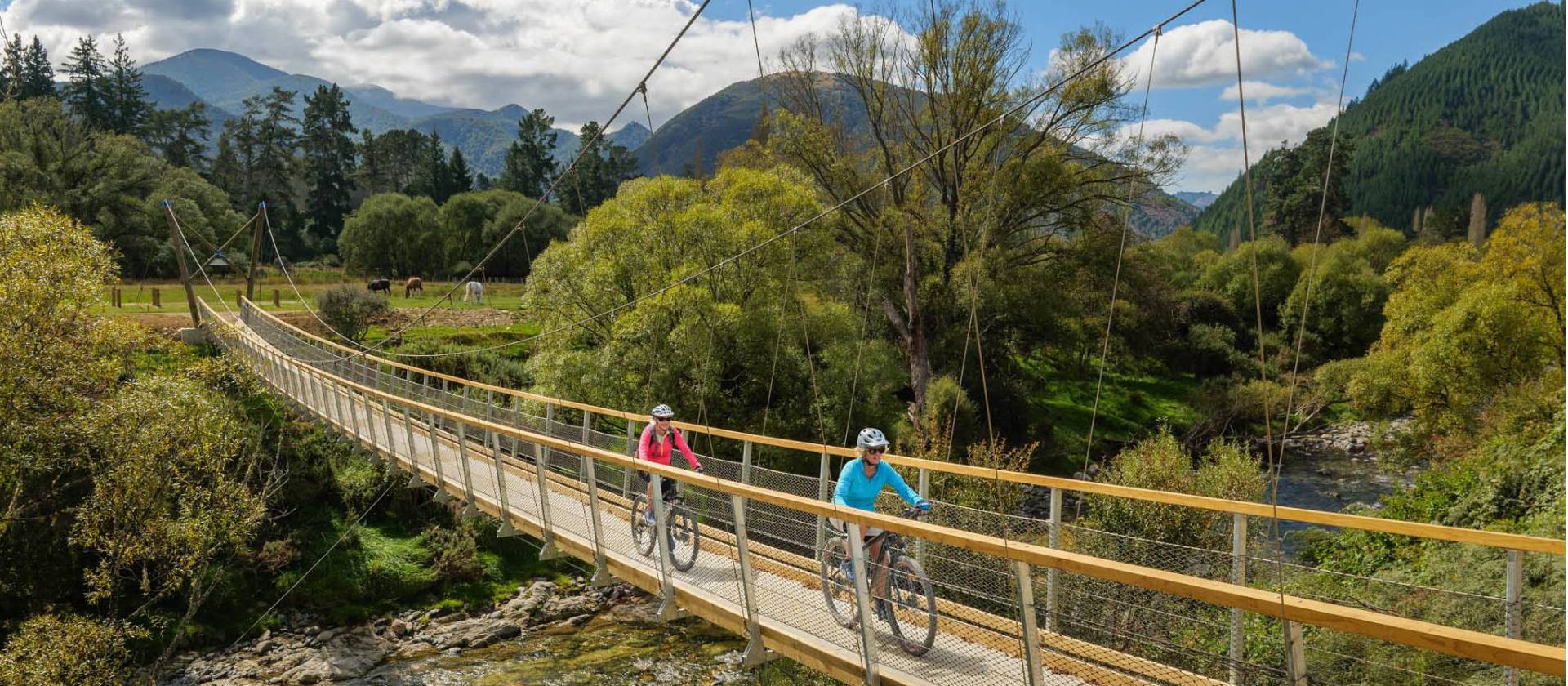 A purpose-built suspension bridge takes us across the pretty Baton River | Chocolate Dog Studio