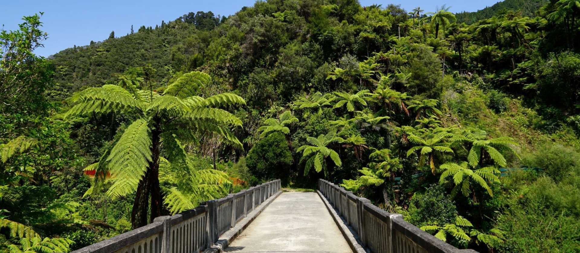 Scenery along the Mt Ruapehu & the 3 Rivers cycle | Janina Delissen