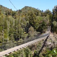 Bridges span huge gorges on the Timber Trail | Sandra Appleby