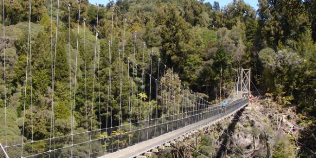 Bridges span huge gorges on the Timber Trail