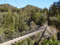 Bridges span huge gorges on the Timber Trail |  <i>Sandra Appleby</i>