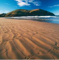 Cannibal Bay in The Catlins&#160;-&#160;<i>Photo:&#160;David Wall</i>