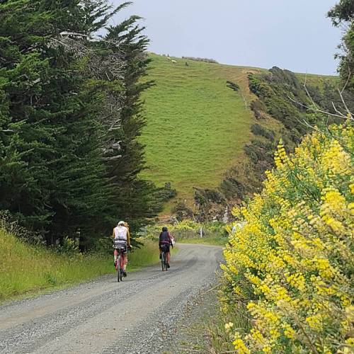 Southern Coast Cycle Road Cycling Trip New Zealand
