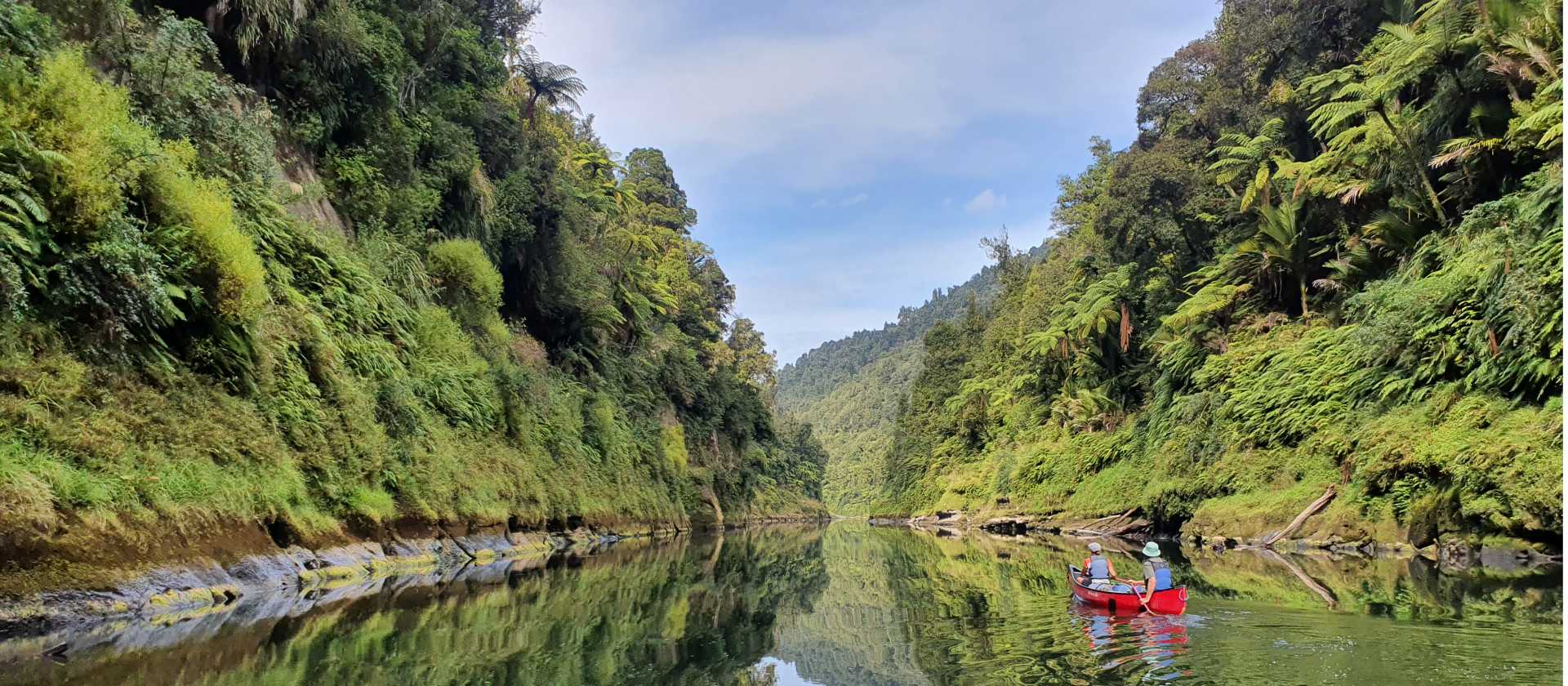 Pristine and relaxing nature along the Whanganui Journey