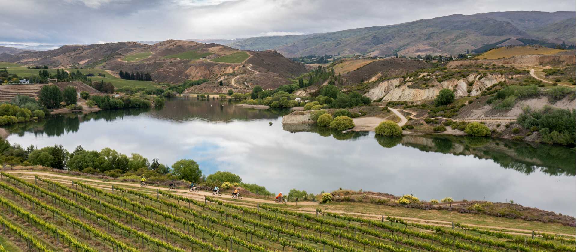 Cyclists ride along the edge of Carrick Winery Vineyard, with Bannockburn Inlet in the background. | Geoff Marks
