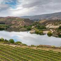 Cyclists ride along the edge of Carrick Winery Vineyard, with Bannockburn Inlet in the background. | Geoff Marks