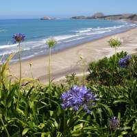 Castle Point ahead in the distance | Sandra Appleby
