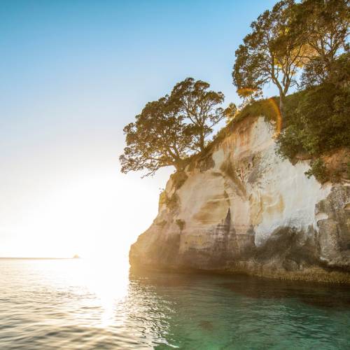 Cathedral Cove - TNZ