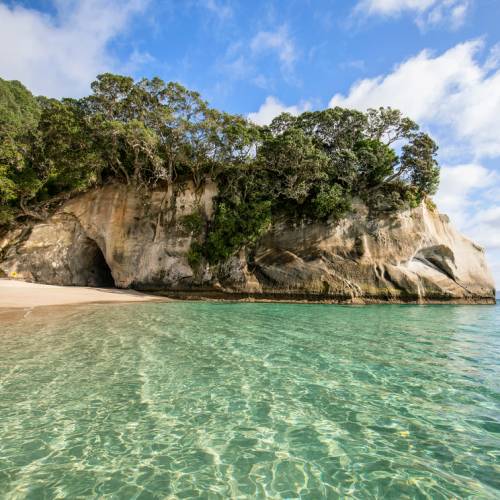 Cathedral Cove - TNZ