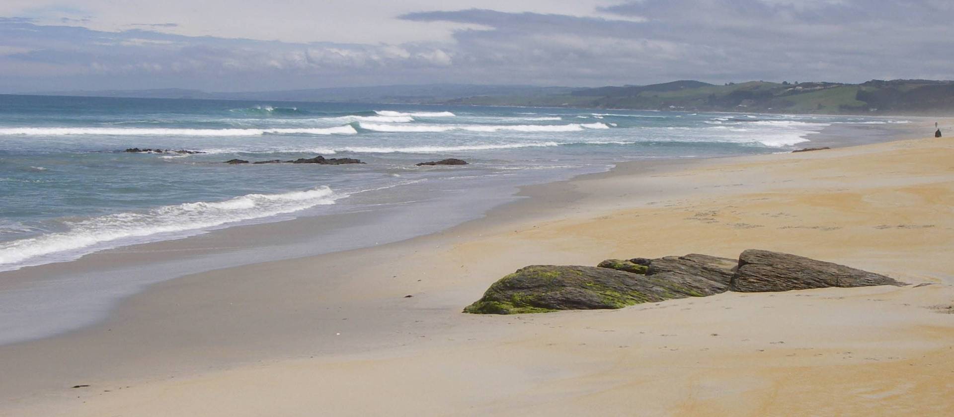 Wild seas and sandy bays on the Catlins Coastline | Sandra Appleby