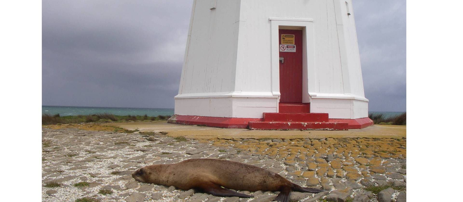 Waipapa Lighthouse and wildlife | Sandra Appleby