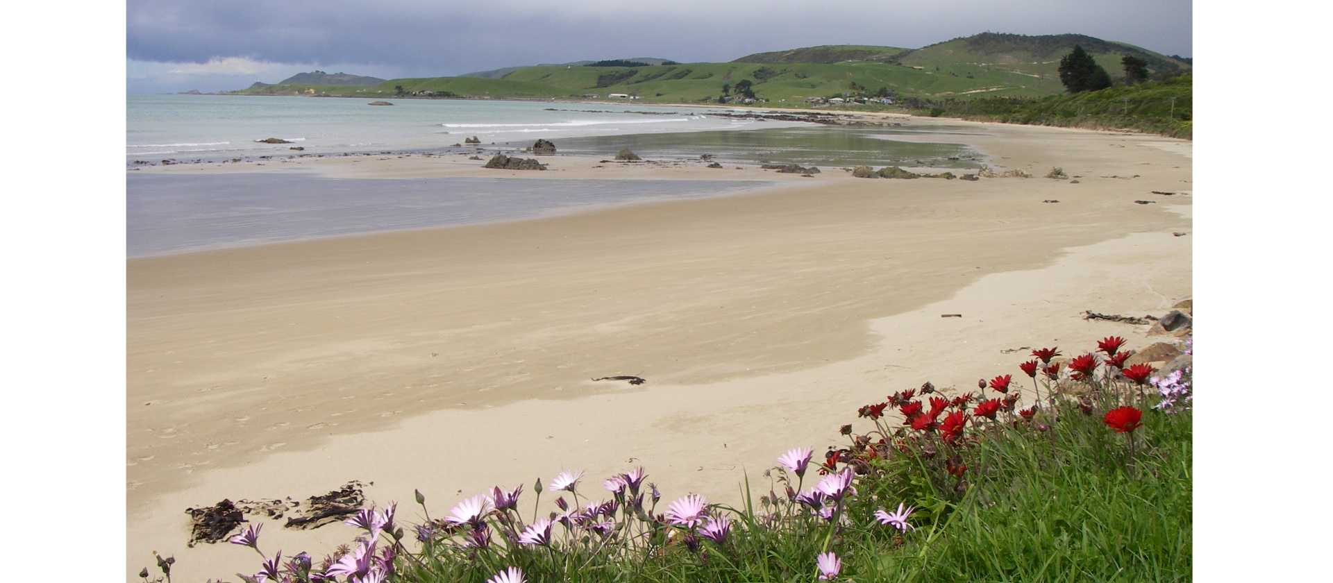 Catlins and Molyneux Bay looking towards Nugget Point | Sandra Appleby