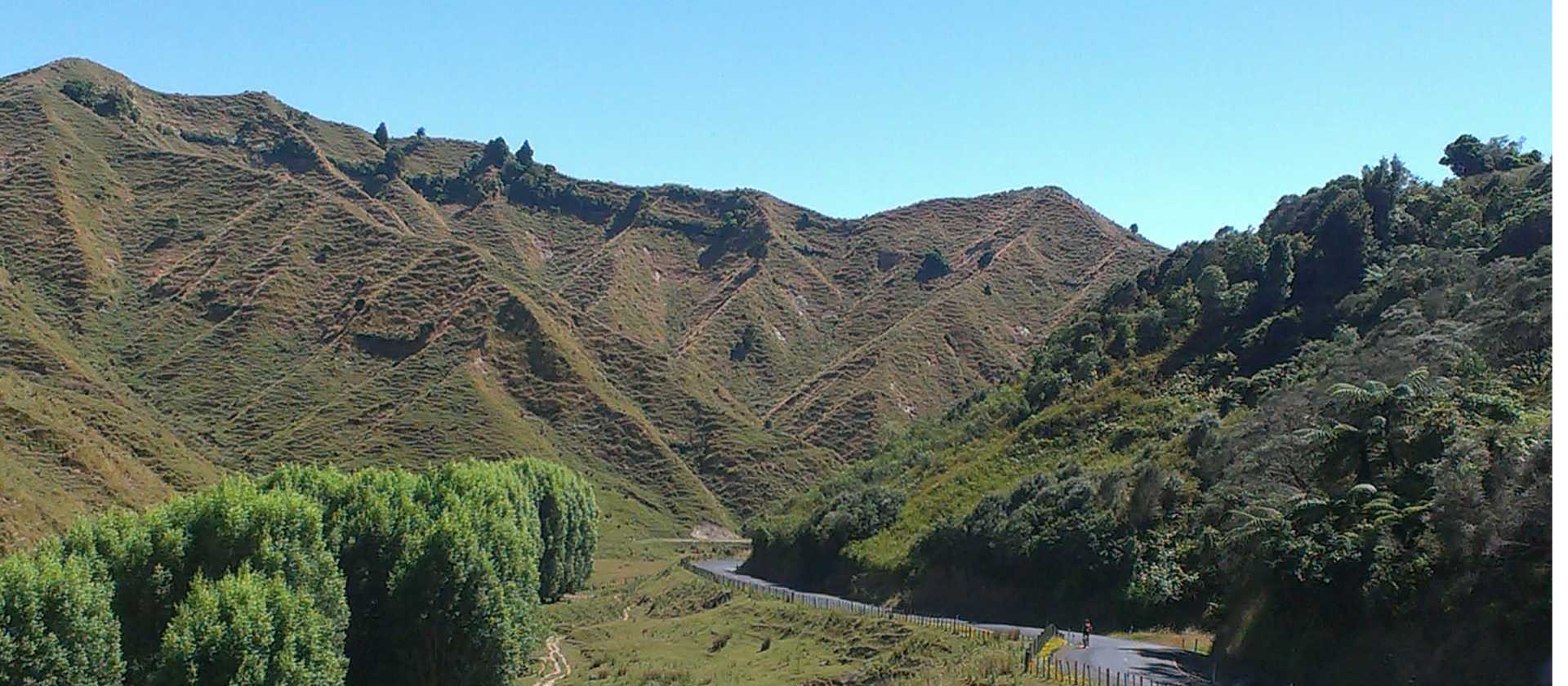 Enjoying the serenity riding through the Central North Island | Guide Anne Lowerson