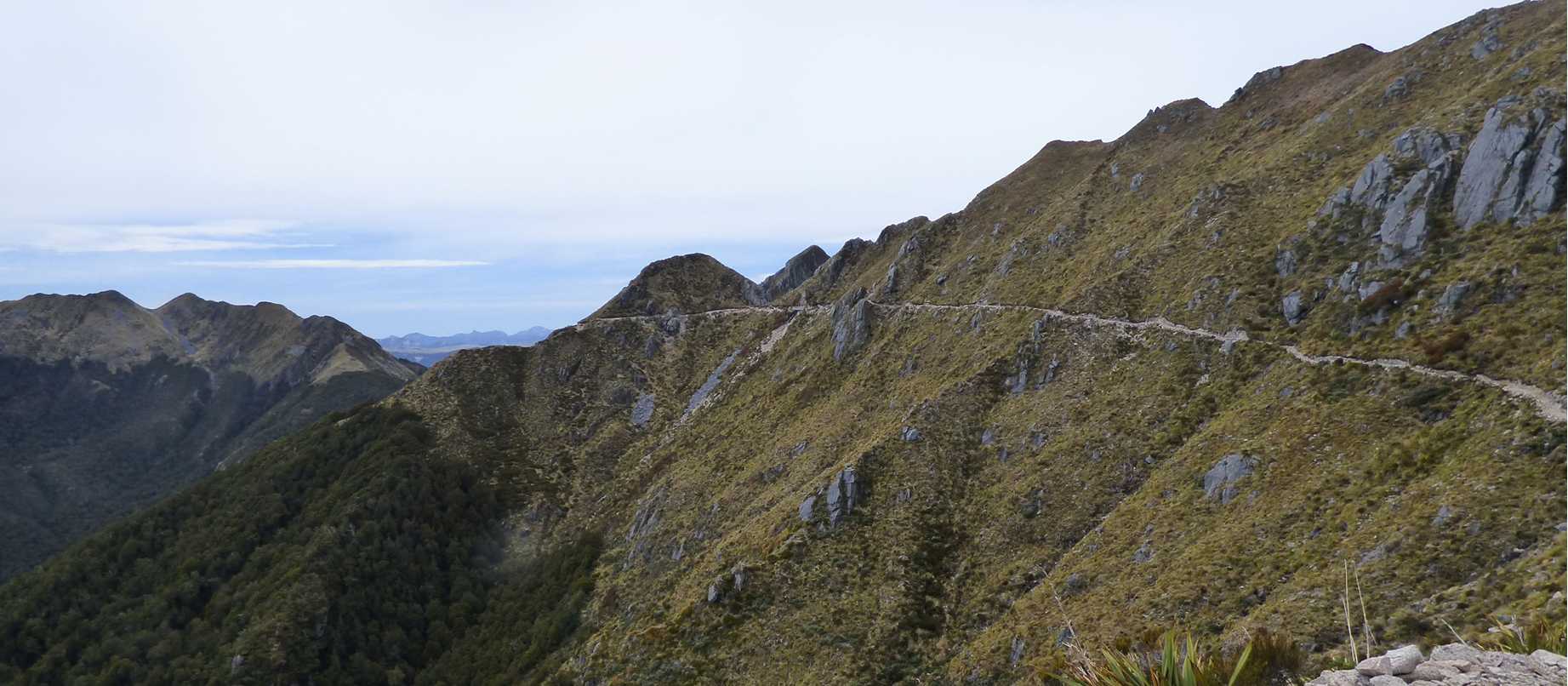 It's easy to see where the trail goes | Janet Oldham