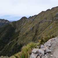 It's easy to see where the trail goes | Janet Oldham