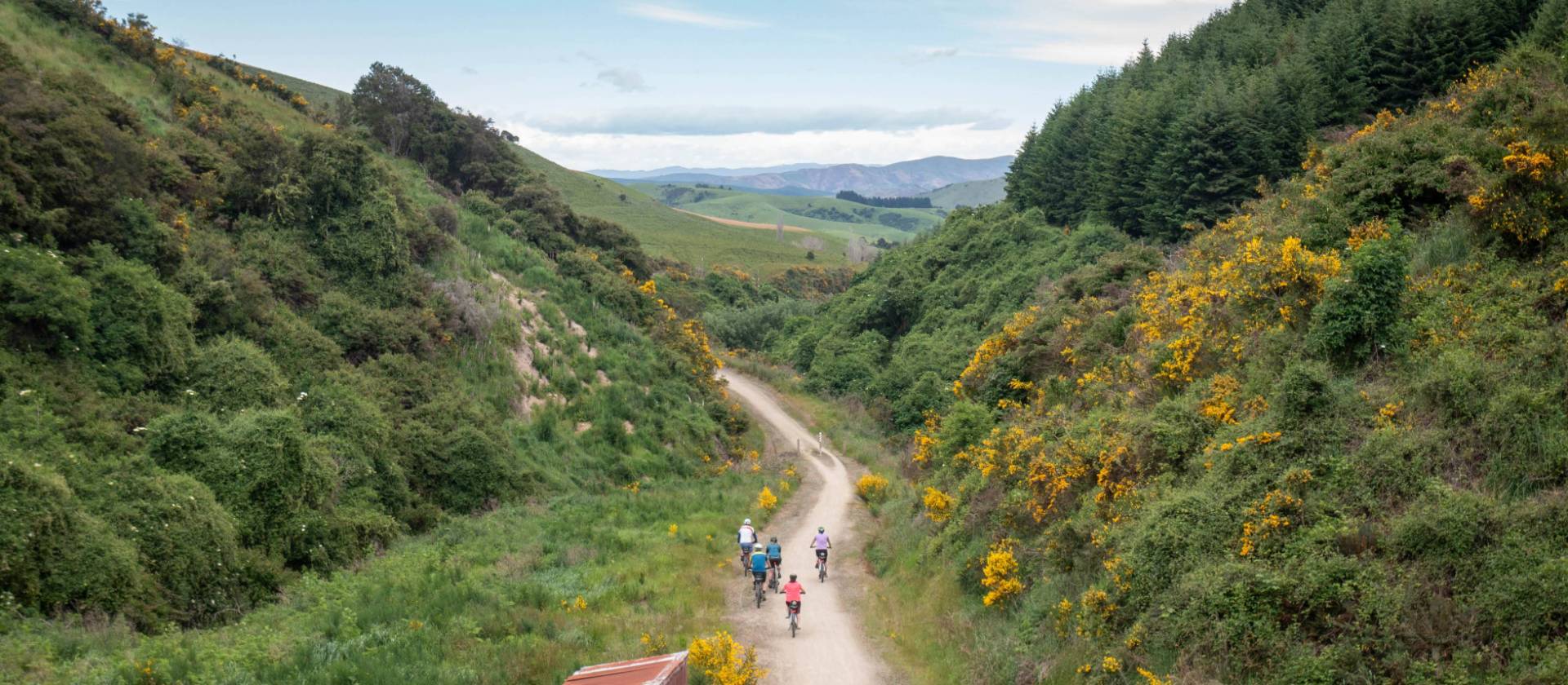 Cyclists riding along the Clutha Gold Trail | Geoff Marks