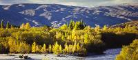 Clutha River at Cromwell | Peter Walton