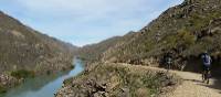 Cycling on the Roxburgh Gorge Trail | Kaye Wilson