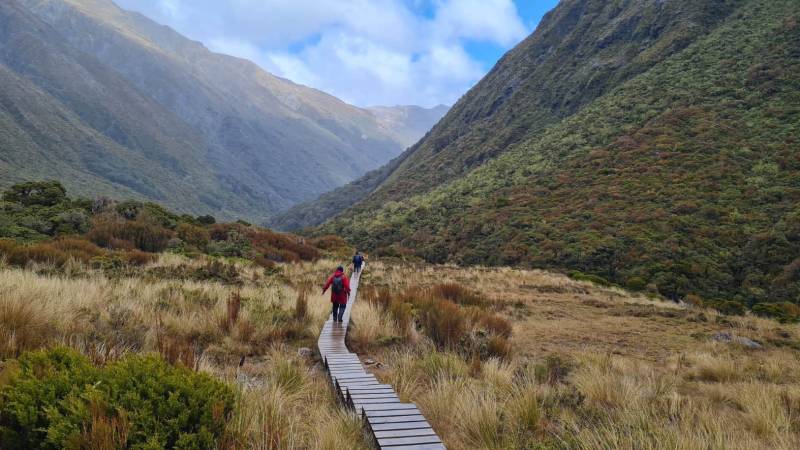 Refreshing boardwalk heading down from Goat Pass Hut |  <i>Adventure South NZ</i>