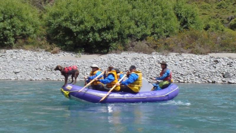 Rafting on the Waimakariri Gorge. Ft Hunter the dog. |  <i>Adventure South NZ</i>