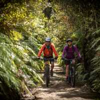 Couple mountain biking the Marton Sash and Door trail | Visit Ruapehu