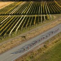 Riders cycle through wineries of the Hawke's Bay | Adventure South