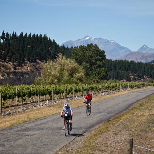 Cyclists in the Molesworth High Country