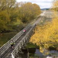 Cycling along the Otago Rail Trail | Andrew Bain